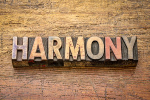 New Ways to Harmonize the Family and Its Wealth: The Parallel Planning Process by Ariel Sergio Davidoff
