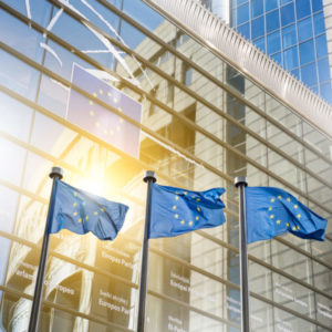 European union flag