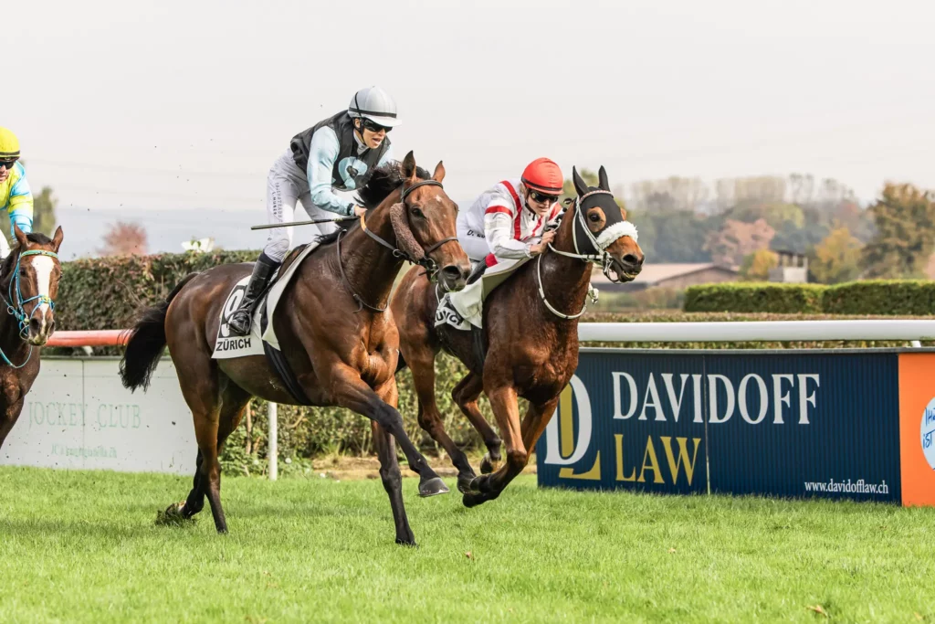 racing horses in front of Davidoff Law
