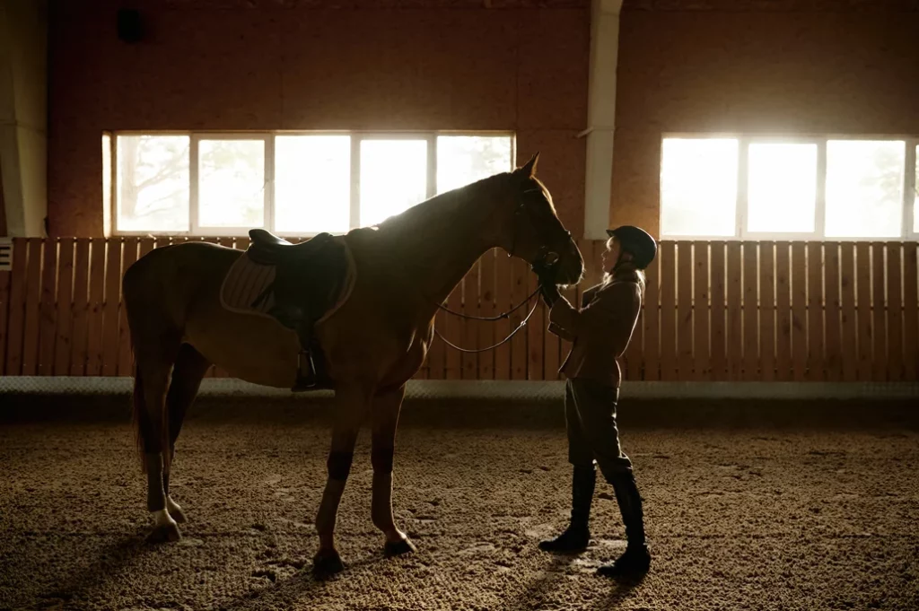 Rider with her horse in a sunlit indoor riding arena, illustrating the business of horses and Davidoff Law’s work with private clients in Zurich